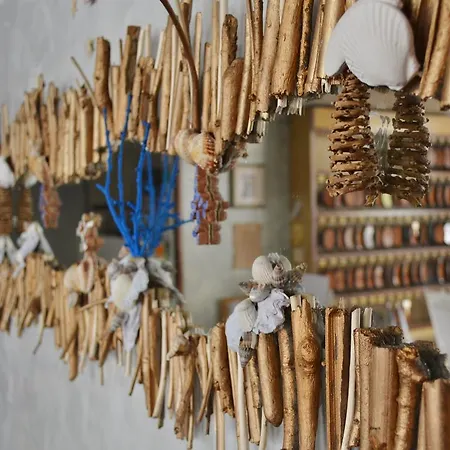 Solmar Hotel Cattolica