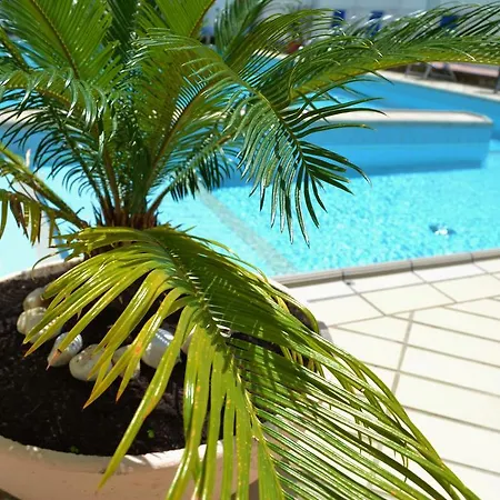 Hotel Solmar